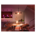Philips Hue WCA 1100 A60 E27 1P EU | Philips Hue