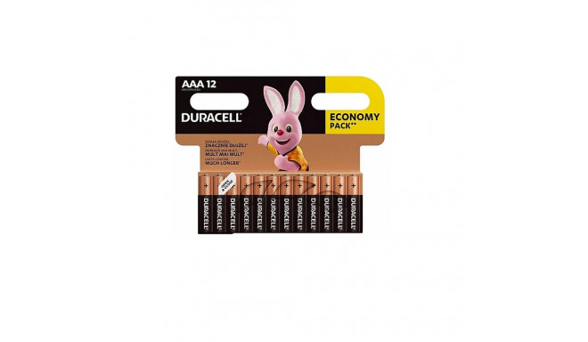 Duracell Basic MN2400 BL12 AAA