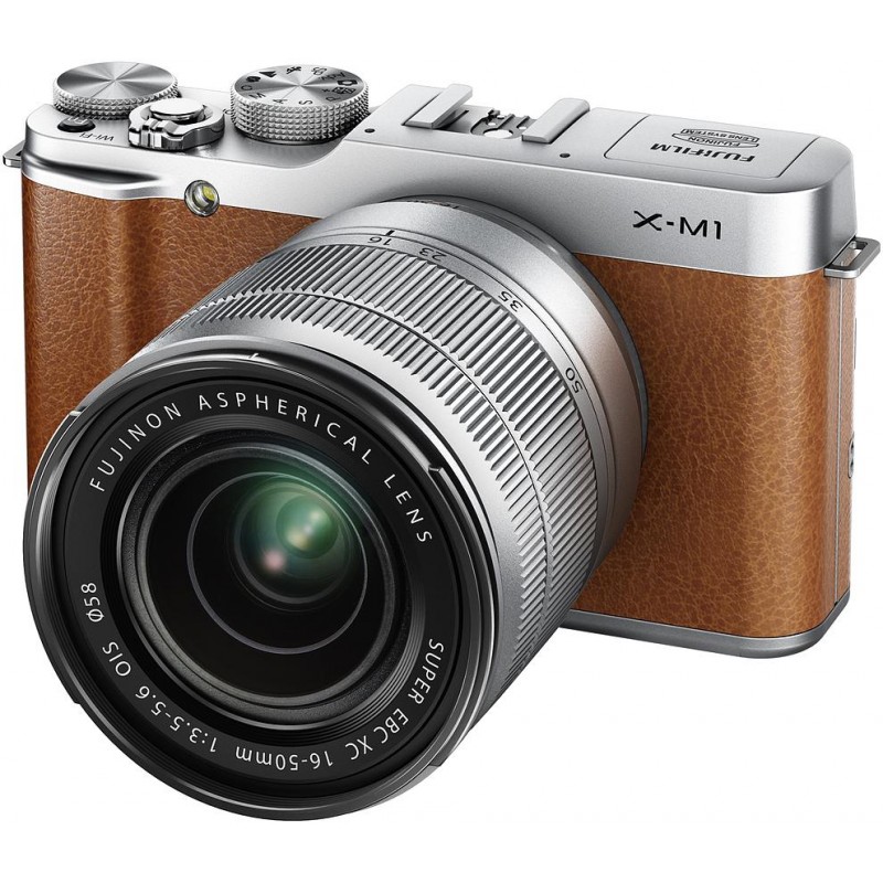 Fujifilm X-M1 + 16-50mm, pruun