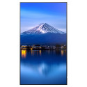 "Sharp MultiSync P436 Digital Signage Display 108 cm 43 Zoll"