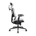 "Sharkoon Brostuhl OfficePal C50M (grau)"