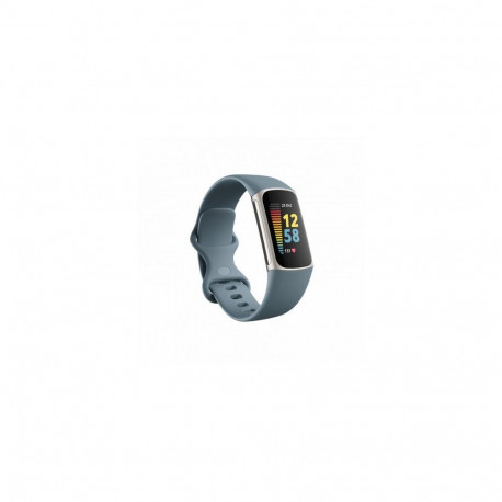 Fitbit Charge 5 Steel Blue Platinum