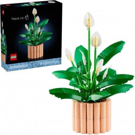 11504 Botanicals Friedenslilie