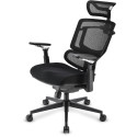 Sharkoon OfficePal C50 office chair, black