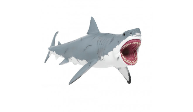 Dinosaurs Megalodon