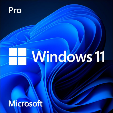 Windows 11 Pro  (64-Bit, Französisch, DVD-ROM)