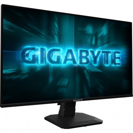 GS25F2A (62.2 cm (24.5 Zoll), schwarz, FullHD, SS-IPS, Free-Sync-Premium, 240Hz Panel)