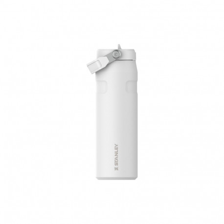 WATER BOTTLE BOTTLE FLIP STRAW 0.7L WHIT