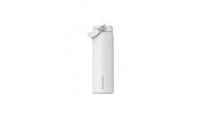WATER BOTTLE BOTTLE FLIP STRAW 0.7L WHIT