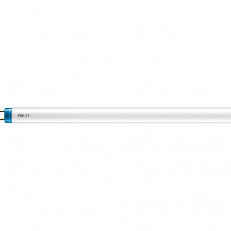 LAMP LED T8 600MM 8W G13 CW 1CT/4