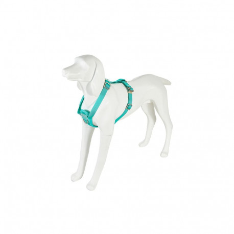 Freedog Saferide türkiissinised turvatraksid koerale M 25mm x 43/58cm