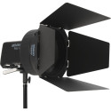 Amaran Fresnel for Ray