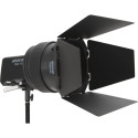 Amaran Fresnel for Ray