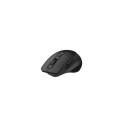 C-TECH WLM-05 mouse Office Right-hand RF Wireless Optical 1600 DPI