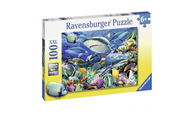 Ravensburger pusle 100 tk Haid