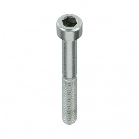 BOLT (DIN912 M5X30 ZN) 30 tk