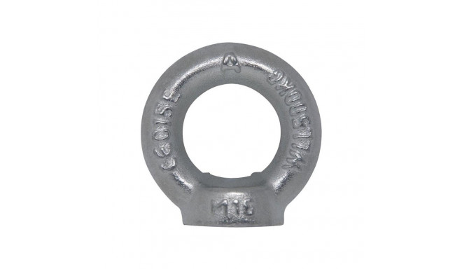 NUT EYE DIN582 M20 ZN