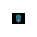 Logitech hiir M185 Notebook, sinine