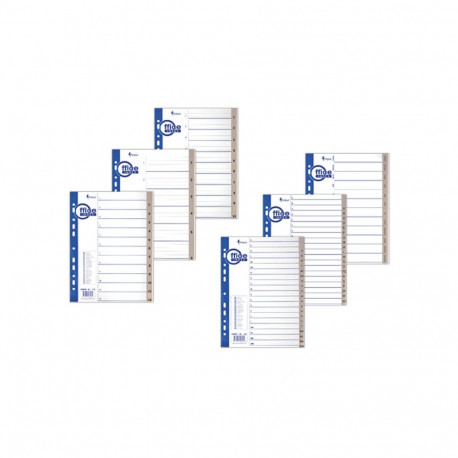 Vahelehed Forpus Maxi A4 plast 1-20