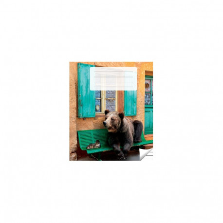 Kaustik 36 lehte, jooneline (5 tk)