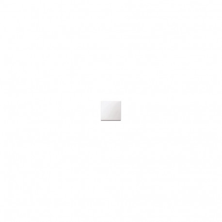 "MERTEN 432119 Wippe für Schalter. Taster pws SYSTEM M"