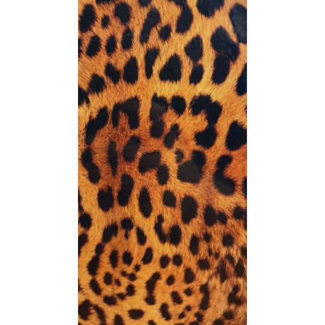 Evelatus Universal Leopard Colorful Film for Screen Cutter