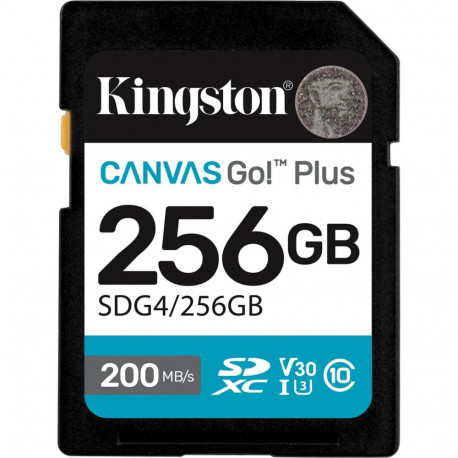 Canvas Go! Plus 256GB SDXC (schwarz, UHS-I U3, Class 10, V30)