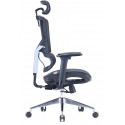 Sihoo office chair M90C, black