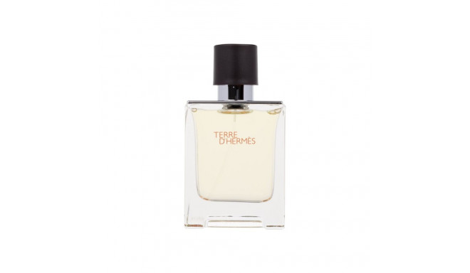Hermes Terre d'Hermes Eau de Toilette (50ml)
