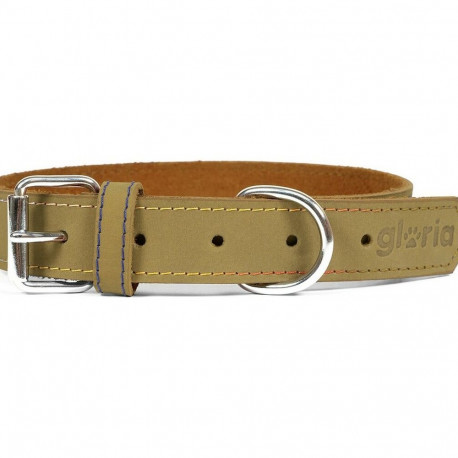 Koera kaelarihm Gloria Oasis Roheline (70 x 3 cm)