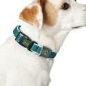 Dog collar Hunter Basic Thread Size M Lime (33-50 cm)