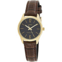 Naiste Kell Casio COLLECTION Pruun (Ø 28 mm)
