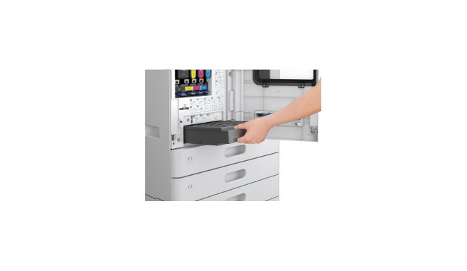 Epson WF AM-C4000/5000/6000 hoolduskarp