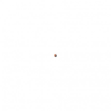 "Evoluent Vertical Mouse 4 wireless black - silver"