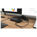 "D I-TEC Dockingstation Quattro Display"