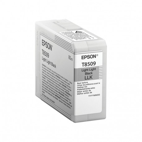 Epson C13T850900 hele must