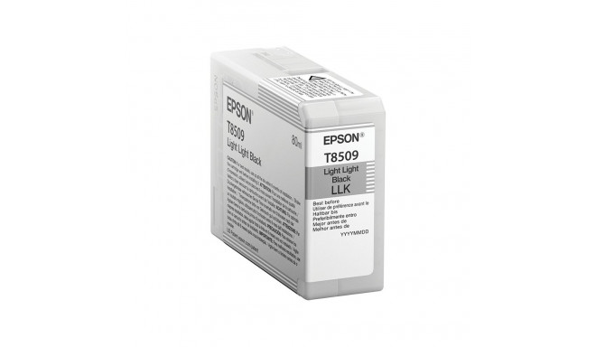 Epson C13T850900 hele must