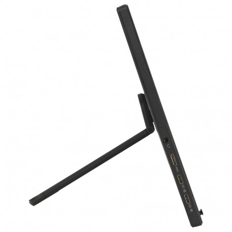"ASUS ZenScreen MB169CK 39.6cm (16:9) FHD HDMI USB-C"