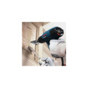 Bosch 75mm Flat Nozzle