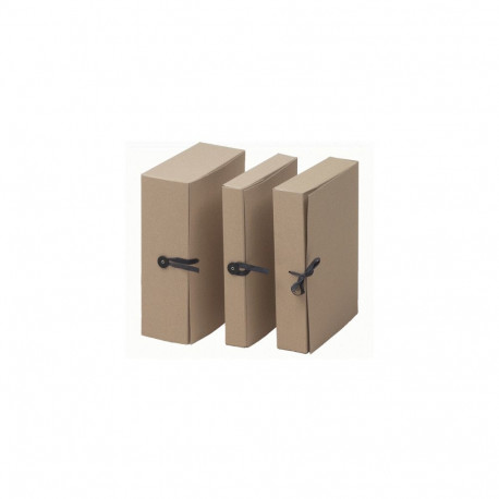 Arhiivikarp/arhiivikaaned A4 pael+nööp kinnitusega, laius 8cm, kartong 650gsm, pruun, SMLT