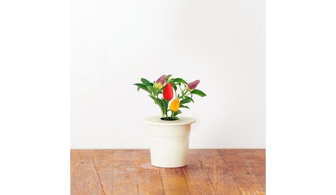 Click & Grow Smart Herb Garden refill Chilli Pepper