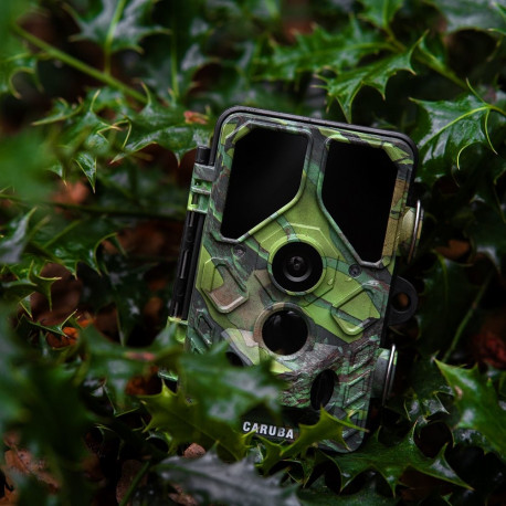 Wildlife Camera - Caruba Wildcamera Toad Full HD 24MP Night Vision WiFi Black