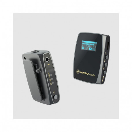 Audio Equipment - Mirfak WE10 Dual-Channel Wireless Microphone System