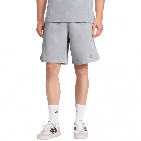 Adidas meeste lühikesed püksid Tiro 26 League Sweat JY9669 M, hall