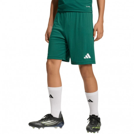 adidas laste lühikesed püksid Entrada 26 KE9831 116cm, rohelised