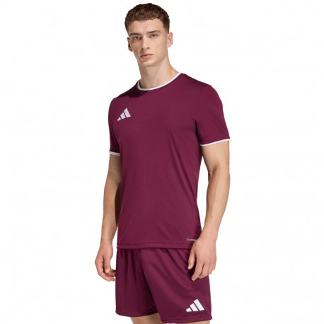 Adidas meeste särk Entrada 26 Jersey JZ2507 S, bordopunane