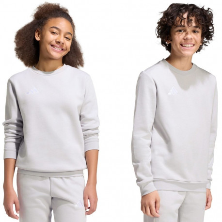 Adidas laste pusa Entrada 26 Sweat Top JZ6551 128cm, hall