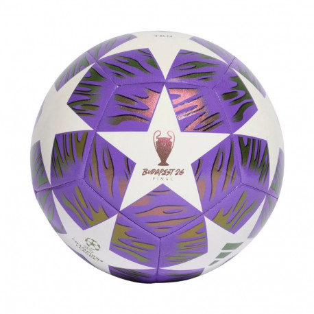 Adidas jalgpall UCL 25/26 Final Training JX9089 5, lilla-valge