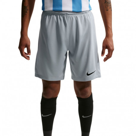 Nike meeste lühikesed püksid Dry Park III NB K BV6855 012 L, helehall