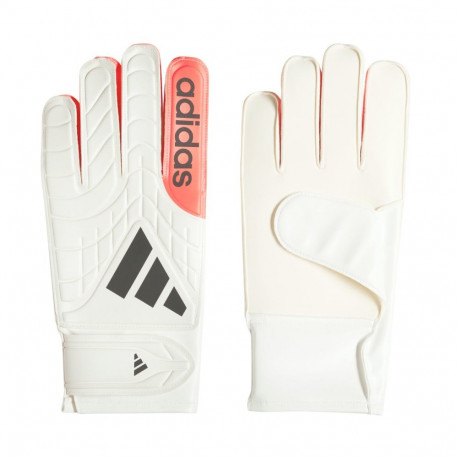 Adidas väravavahikindad Copa Club KA7804 10,5, valged